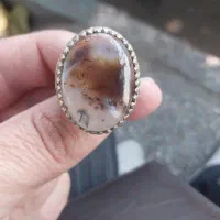 انگشتر شجر