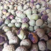 گردو با پوست تازه با تمشک تازه