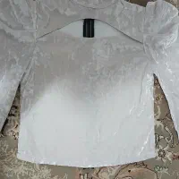 مخمل