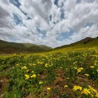 اجاره-زمین-کشاورزی-13000-متر-چوپلوجه