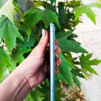 iphone 11|موبایل|مشهد, بهمن|دیوار