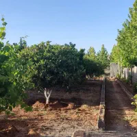 فروش-باغ-شهری-دوکوهک