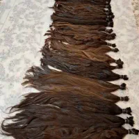خریدار اصلی مو بدون واسطه