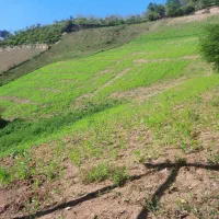 زمین در روستای باغ گلبن