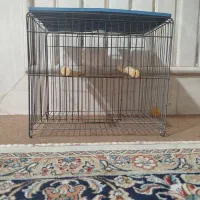 فروش قفس کوچک و دونخوری مکانیزه