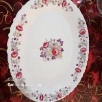 ارکپال ۲۴