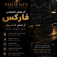 سفر از آشقتگی تا تسلط با آکادمی ققنوس