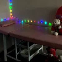 تخت مژه