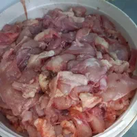 خورده مرغ