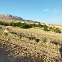 با سلام همکاری سرمایه گزاری برای پرورش ماهی