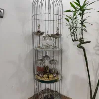 استند مدل قفس
