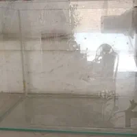 آکواریوم نو ‌و تمیز