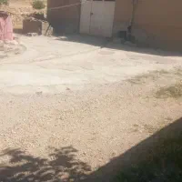 فروش-گاوداری