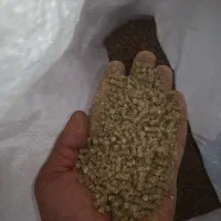 دان مرغ تخمگذار بومی.