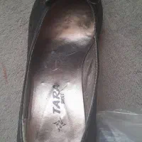 کفش مجلسی