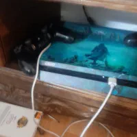 PS4 گپی خور|کنسول، بازی ویدئویی و آنلاین|تربت‌حیدریه, شهید قرنی|دیوار