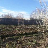 ملک کلنگی مرکز شهر تجاری خور
