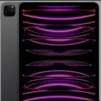 ipad pro12.9-256-cellular-