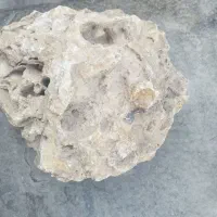 سنگ آکواریوم