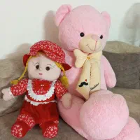 شاسخین
