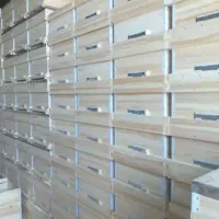 کارگاه بزرگ تولید کندو وطبق زنبور