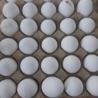 تخم مرغ|خوردنی و آشامیدنی|اهواز, جانبازان|دیوار