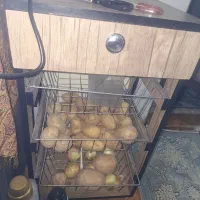 جای پیاز و سیب زمینی