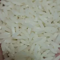 برنج هاشمی درجه یک سولتیگ شده