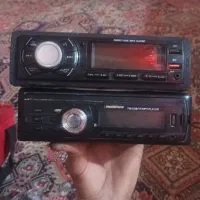 ظبت