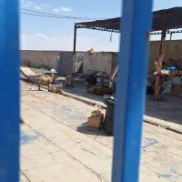 اماده کار جهت سرایداری یا نگهداری از سالمند