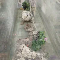 آکواریوم درجه1