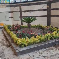 خدمات باغبانی هرسکاری کوددهی سم پاشی شمشاد