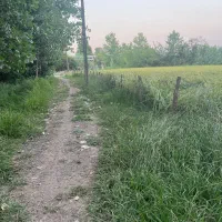 ۲۵هزارمتر زمین کشاورزی