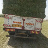 کاه و یونجه