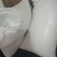 برنج طارم هاشمی