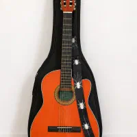 کلاسیک Valensia AK800 کیف بند طرح عنکبوت