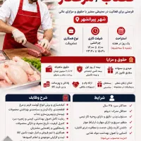 استخدام مرغکار و قصاب - پیرانشهر