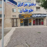 هلدینگ-بزرگ-طوطیان-در-فاز2-مجید-طوطیان