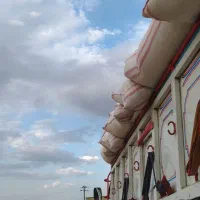 کاه گندم کردستان