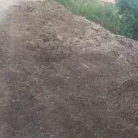 کود حیوانی