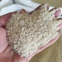 برنج سر لاشه درجه یک طارم