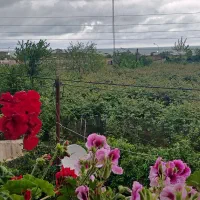 اجاره-سوییت-ساحلی