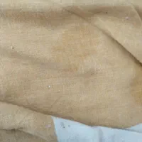 نوت۱۲