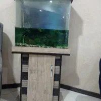 اکواریوم شیشه خم کریستال