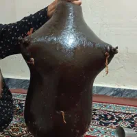 هیزه|ظروف نگهدارنده، پلاستیکی، یک‌بارمصرف|گیلان غرب, |دیوار