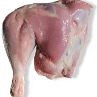 گوشت بوقلمون تحویل درب منزل و فروشگاه