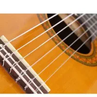 آموزش گیتار خصوصی