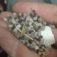 470گرم شن آکواریم  برای فروش