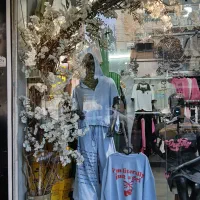 درختچه شکوفه سفید