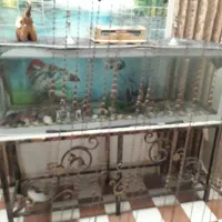 آکواریوم خانگی و زیر میزی فلزی
